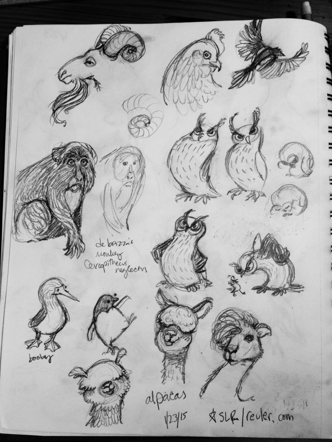 owls, alpacas and friends